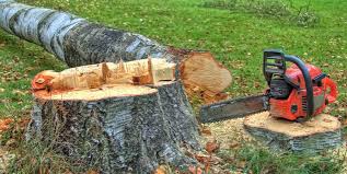 Best Firewood Processing and Delivery  in Caldwell, TX